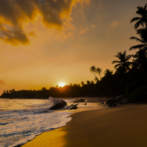 Anjuna Beach in Goa, showcasing palm trees and a stunning sunset, creating a picturesque tropical scene