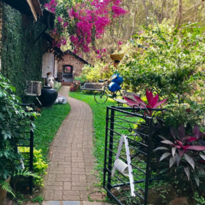 A picturesque garden walkway adorned with vibrant flowers and lush plants, located at The Mario Miranda Museum